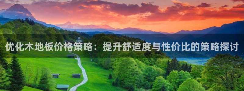 谈球吧体育官网：优化木地板价格策略：提升舒适度与性价比的策略探讨