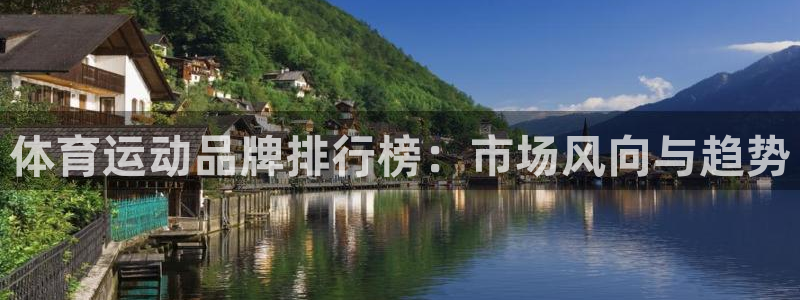 谈球吧体育官网：体育运动品牌排行榜：市场风向与趋势