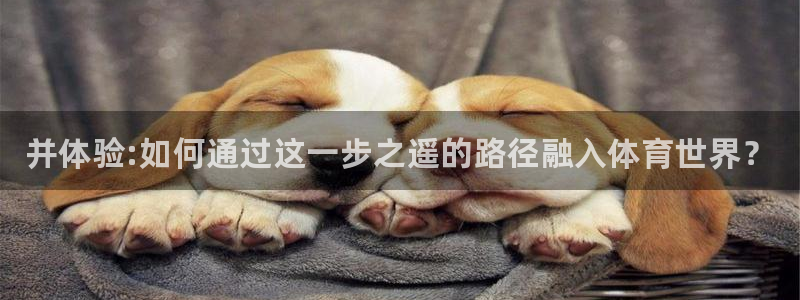 谈球吧体育：并体验:如何通过这一步之遥的路径融入体育世界？