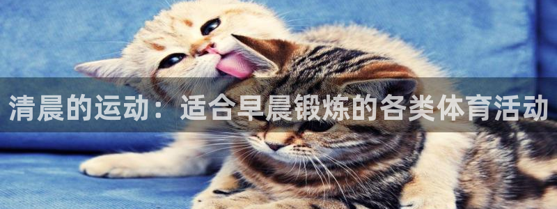 谈球吧体育官网：清晨的运动：适合早晨锻炼的各类体育活动