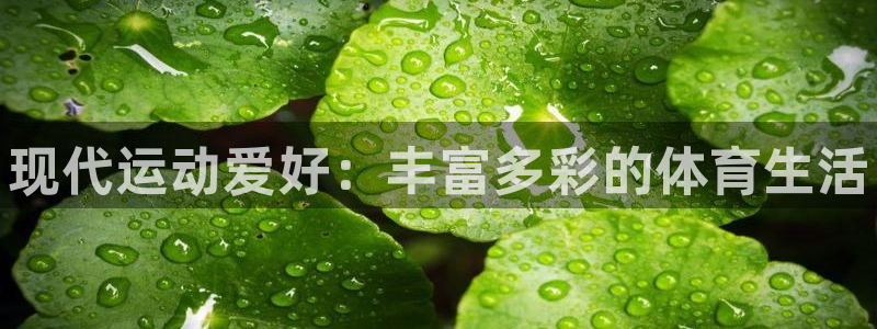 谈球吧体育：现代运动爱好：丰富多彩的体育生活