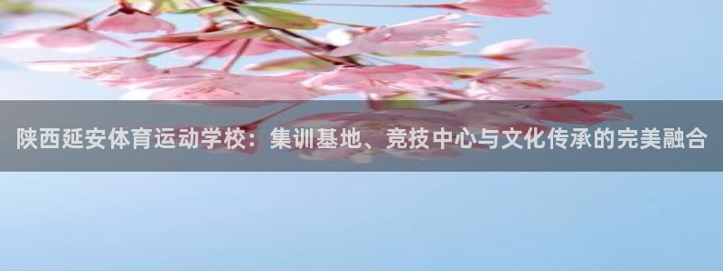 谈球吧：陕西延安体育运动学校：集训基地、竞技中心与文化传承的完美融合