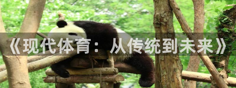 谈球吧：《现代体育：从传统到未来》