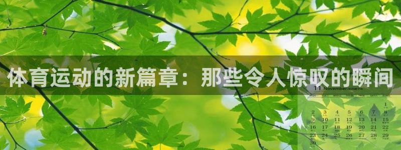 谈球吧：体育运动的新篇章：那些令人惊叹的瞬间