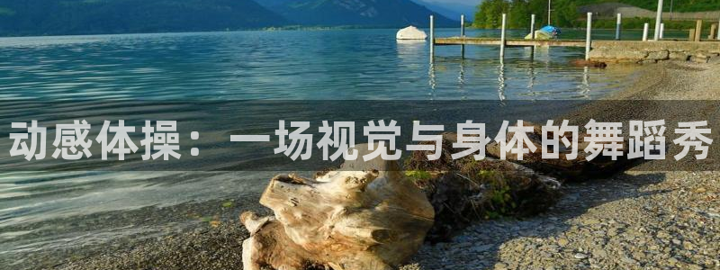 谈球吧体育官网：动感体操：一场视觉与身体的舞蹈秀