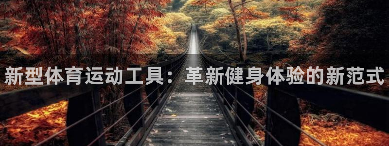 谈球吧体育：新型体育运动工具：革新健身体验的新范式