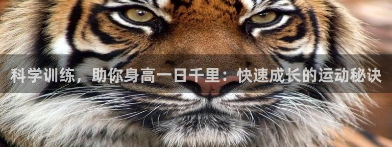 谈球吧体育：科学训练，助你身高一日千里：快速成长的运动秘诀
