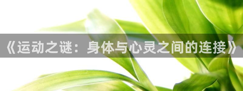 谈球吧：《运动之谜：身体与心灵之间的连接》