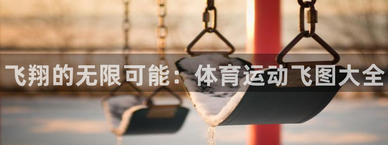 谈球吧：飞翔的无限可能：体育运动飞图大全