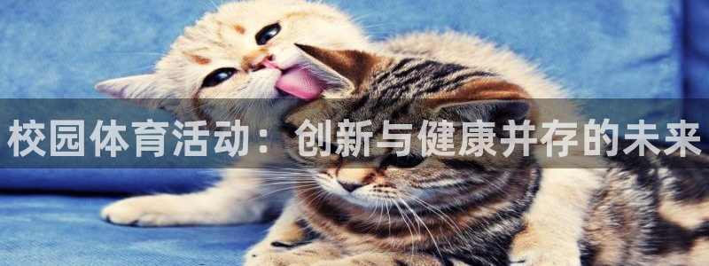 谈球吧体育：校园体育活动：创新与健康并存的未来
