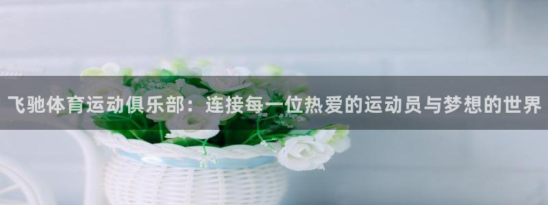 谈球吧体育官网：飞驰体育运动俱乐部：连接每一位热爱的运动员与梦想的世界