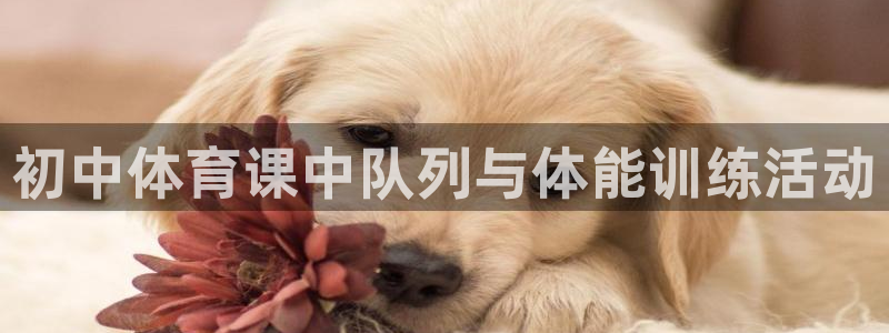 谈球吧：初中体育课中队列与体能训练活动
