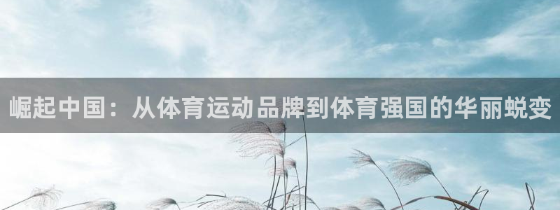 谈球吧体育：崛起中国：从体育运动品牌到体育强国的华丽蜕变