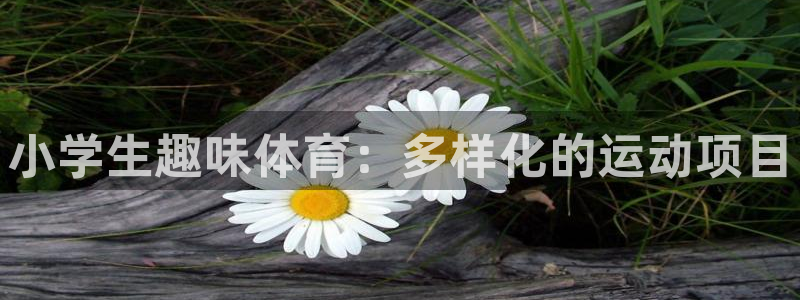 谈球吧体育官网：小学生趣味体育：多样化的运动项目