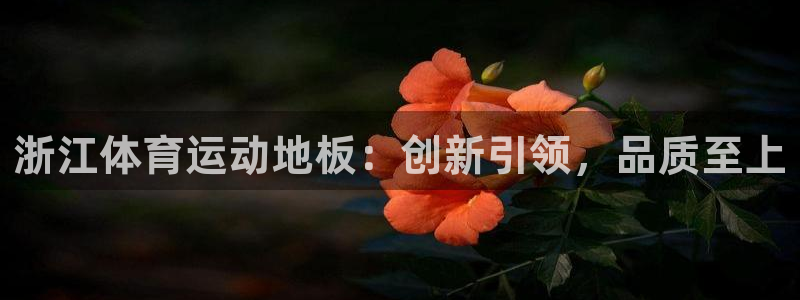 谈球吧体育官网：浙江体育运动地板：创新引领，品质至上