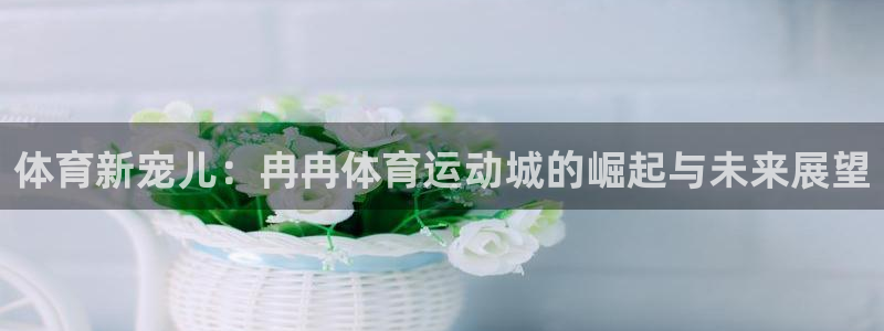 谈球吧