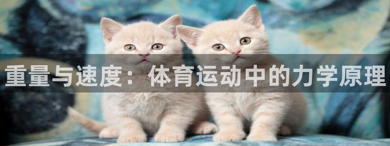 谈球吧体育官网