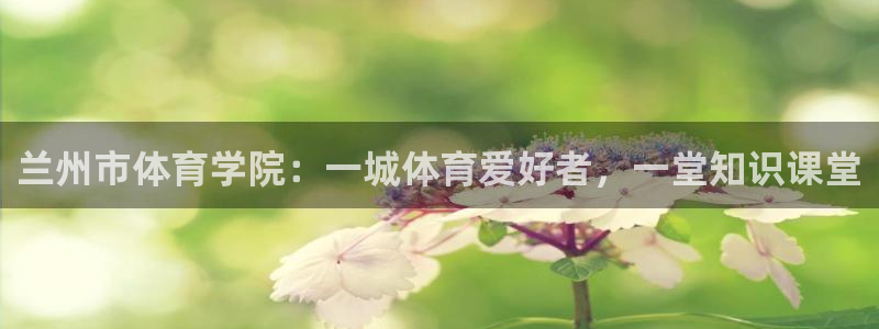 谈球吧体育官网