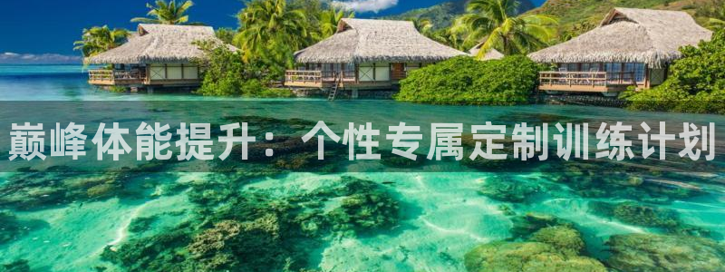 谈球吧