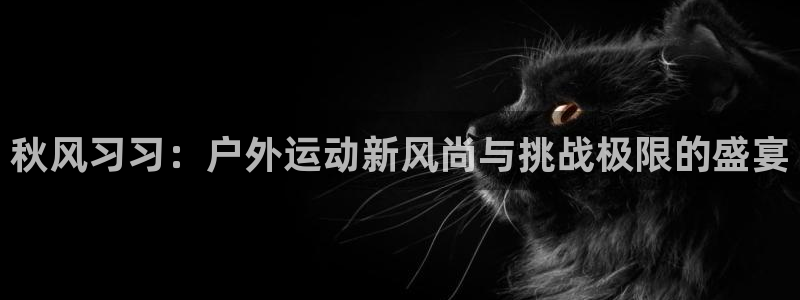 谈球吧体育