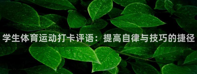 谈球吧