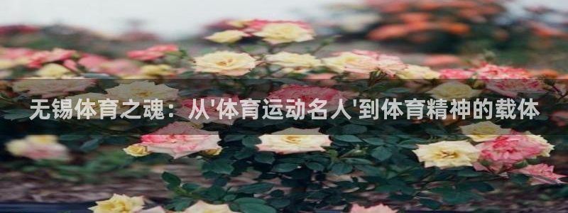 谈球吧体育