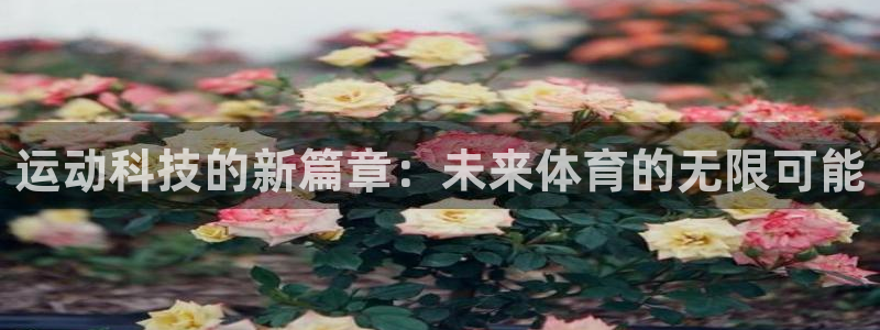 谈球吧