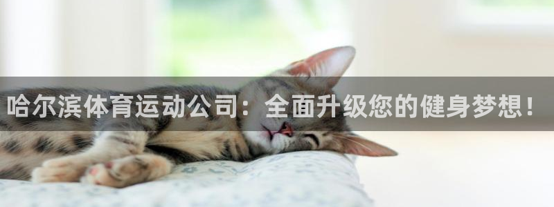 谈球吧体育：哈尔滨体育运动公司：全面升级您的健身梦想！