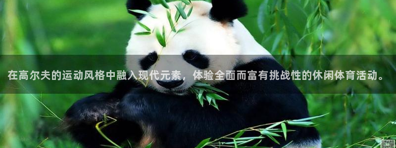 谈球吧体育官网：在高尔夫的运动风格中融入现代元素，体验全面而富有挑战性的休闲体育活动。