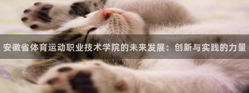 谈球吧体育官网：安徽省体育运动职业技术学院的未来发展：创新与实践的力量